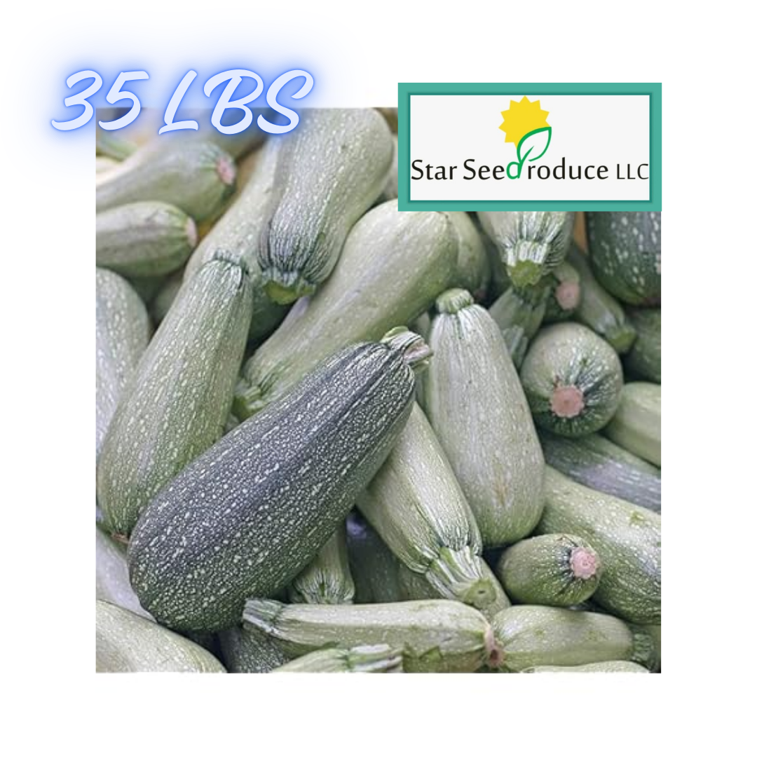 Calabacita