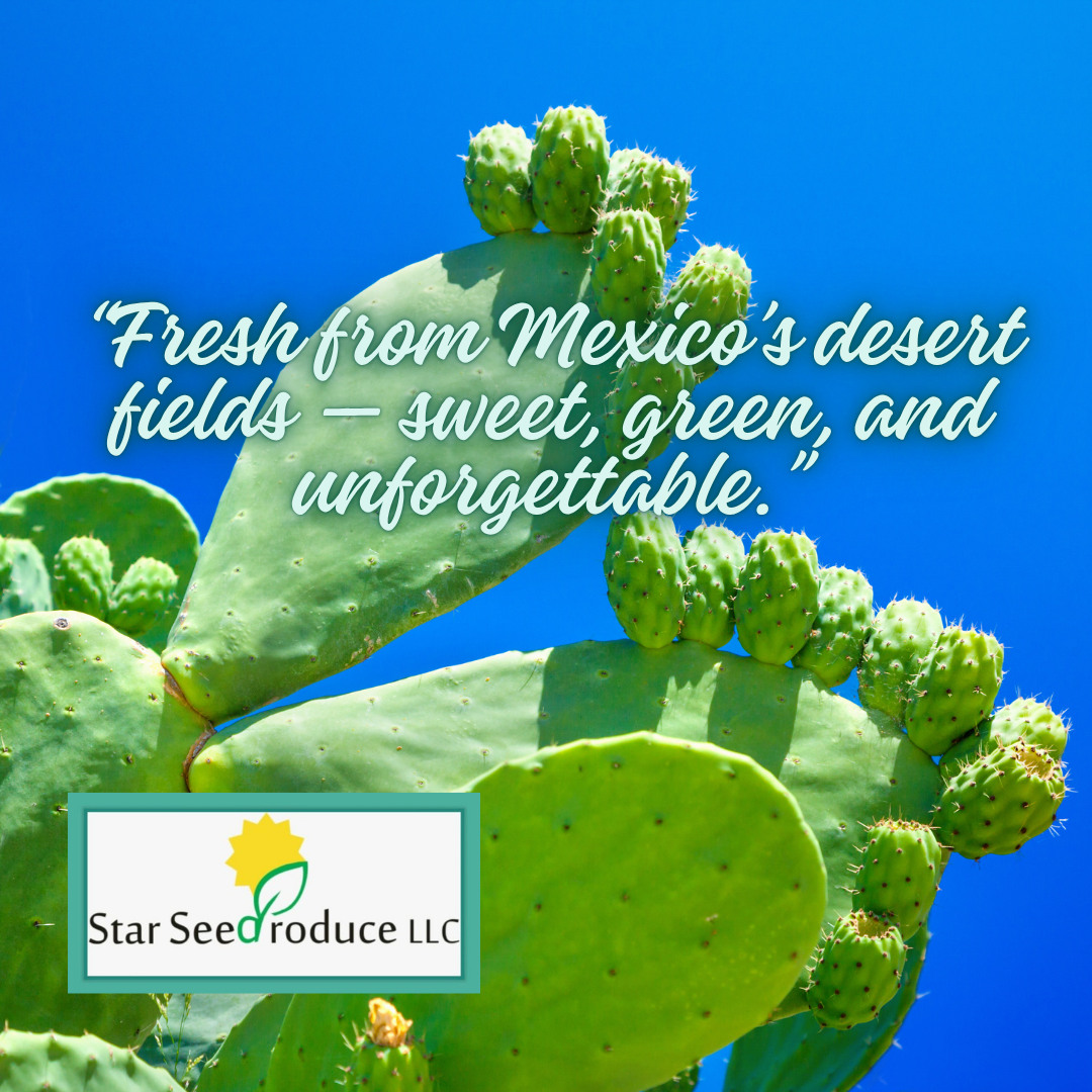 Prickly Pear - Green