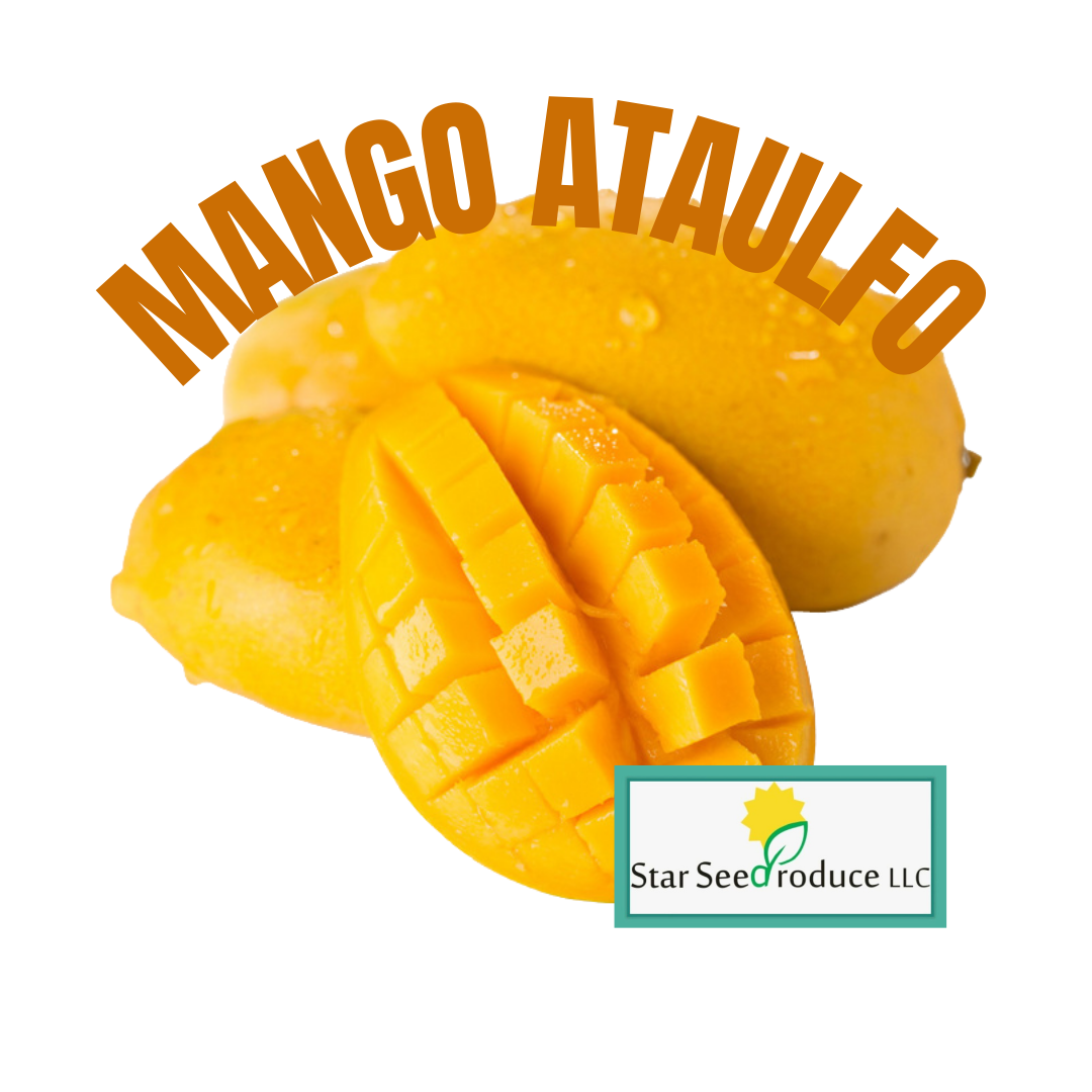 Ataulfo Mango Ripe Chart Ataulfo Mangoes – Starseed Store