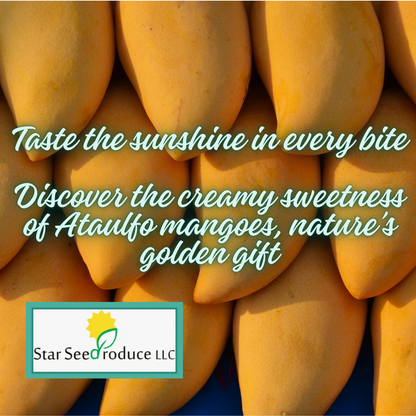Ataulfo Mangoes