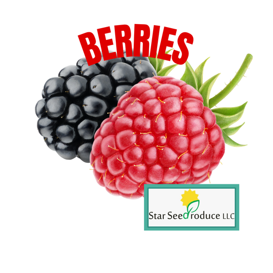 Berries
