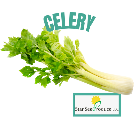 Celery