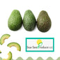 Avocados