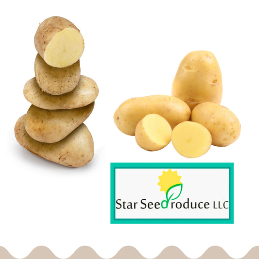 Potatoes (USA)