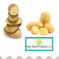 Potatoes (USA)