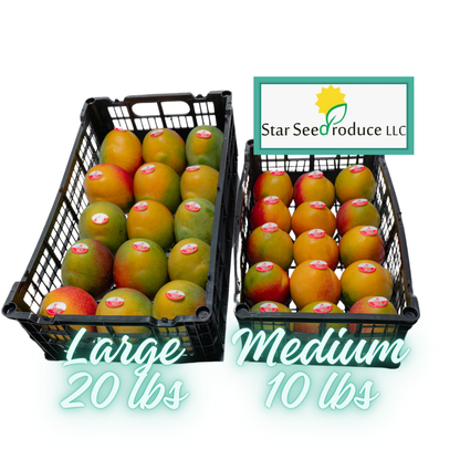 Mangoes, Haden (ripe)