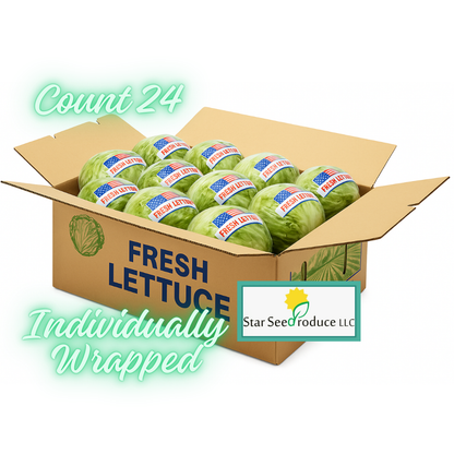 Iceberg Lettuce, Cello Wrapped