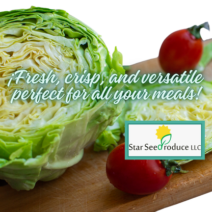 Iceberg Lettuce, Cello Wrapped