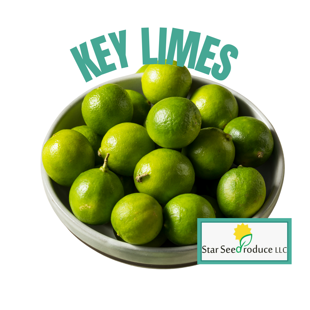 Key Lime Valhalla Key Limes – Starseed Store