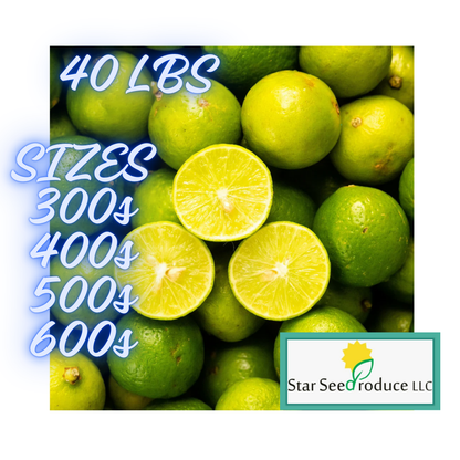 Key Lime Valhalla Key Limes – Starseed Store