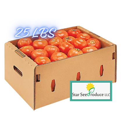 Round Tomatoes