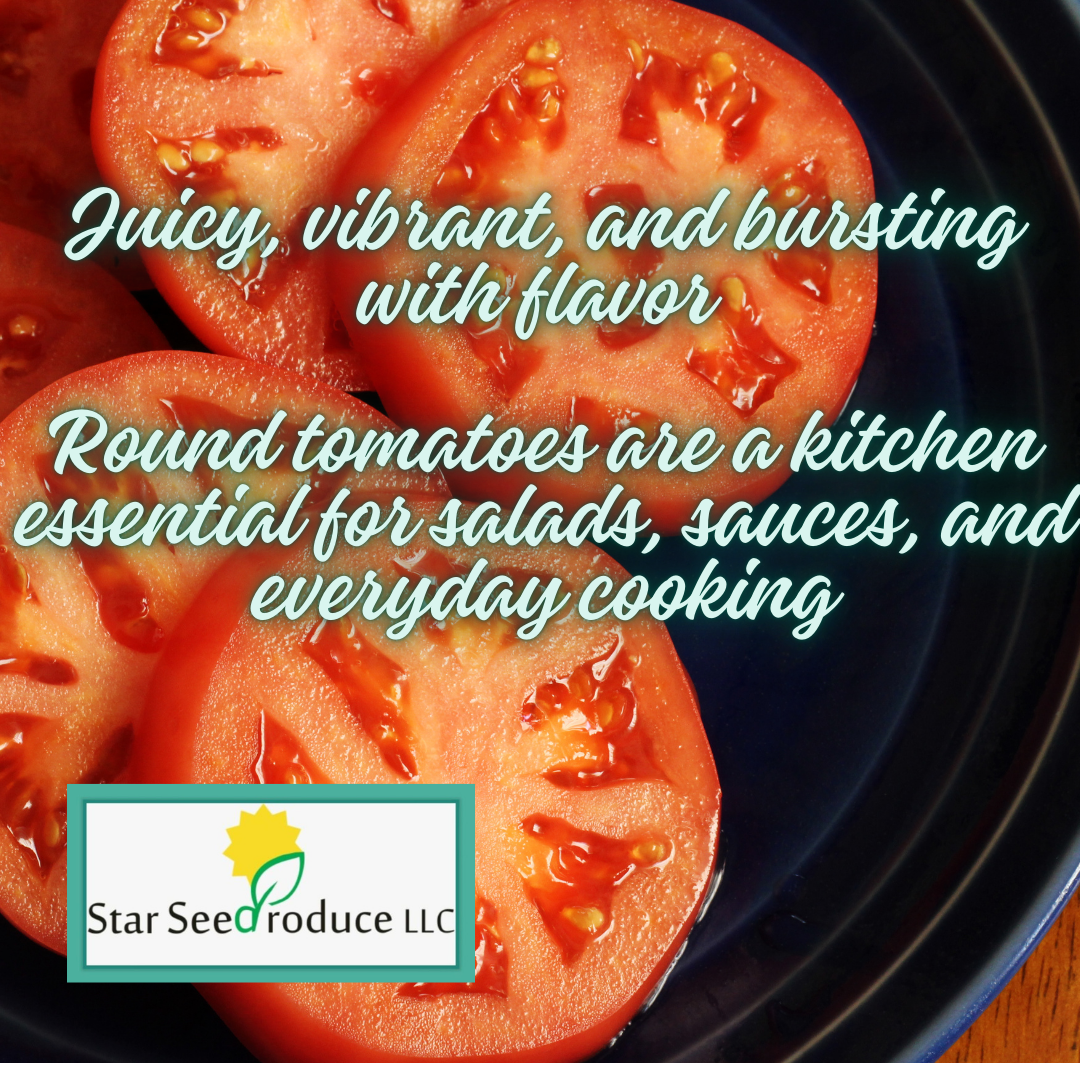 Round Tomatoes