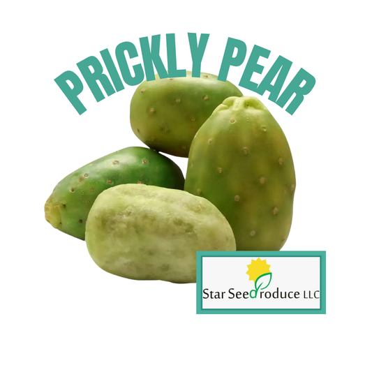 Prickly Pear - Green