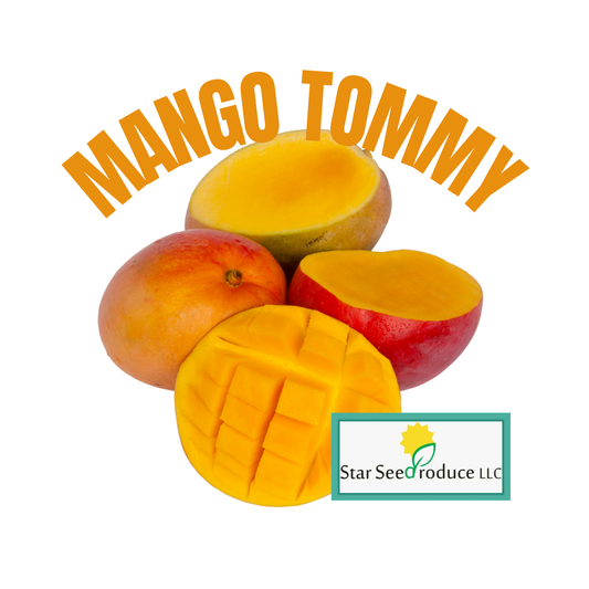Mangoes - Tommy Atkins